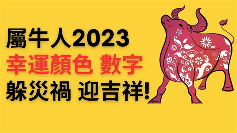 屬牛 2023